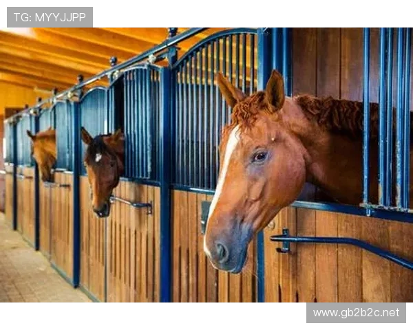 富里睡醒发现自家马场又多了一匹纯血小马，账单还没付清呢